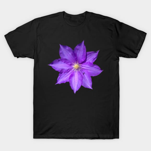 Purple Clematis Flower T-Shirt by Moonlit Midnight Arts